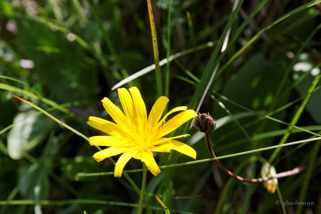 20120630_237